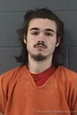 Mugshot of DRISTON JETT DOWLING