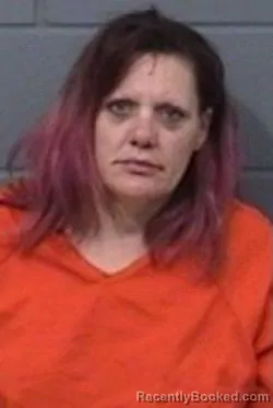 Mugshot of VANESSA SUE NIXON