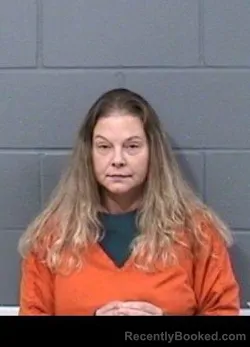 Mugshot of HEIDI MARIE MEALER