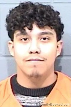 Mugshot of JUAN DAVID MENDOZA