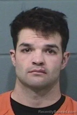 Mugshot of GAVIN JOSEPH MITCHINER