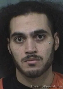 Mugshot of JORGE LUIS ROSARIO