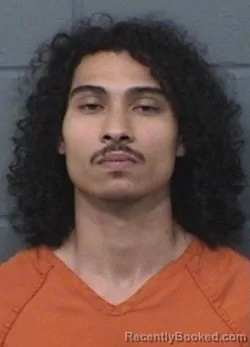 Mugshot of LUIS ANTONIO DOMINGUEZ