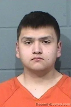 Mugshot of SKYLER ALEXANDER GEORGESON