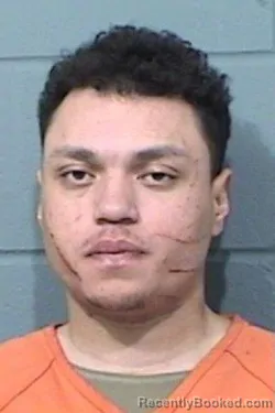 Mugshot of BRANDON Nmn ALEX