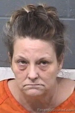 Mugshot of DONNA MICHELLE ZIMMERMAN