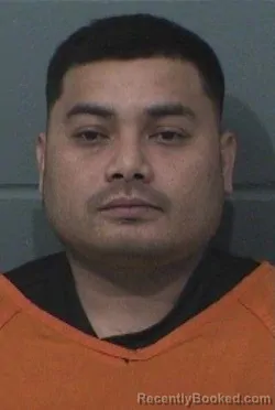 Mugshot of DWAYNE WAGNER DAVID