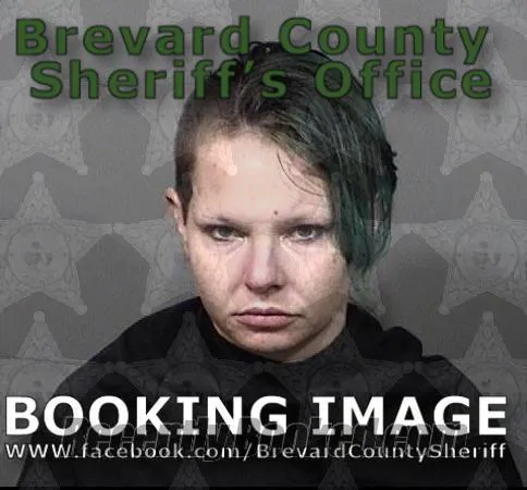 Booking photo from Brevard County, Florida