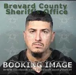 Booking photo from Brevard County, Florida