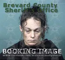 Booking photo from Brevard County, Florida