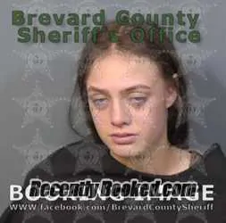 Booking photo from Brevard County, Florida