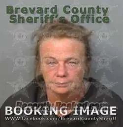 Booking photo from Brevard County, Florida