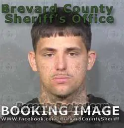 Booking photo from Brevard County, Florida