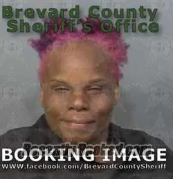 Booking photo from Brevard County, Florida