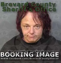 Booking photo from Brevard County, Florida