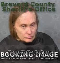 Booking photo from Brevard County, Florida