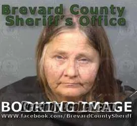 Booking photo from Brevard County, Florida