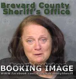 Booking photo from Brevard County, Florida