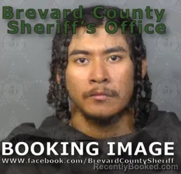 Booking photo from Brevard County, Florida