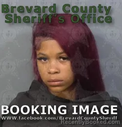 Mugshot of Lamysia Renee Finney