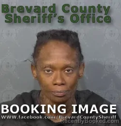 Mugshot of Cindy L Rolle