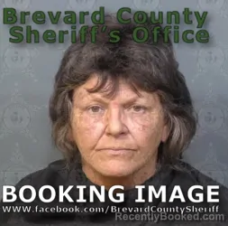 Mugshot of Trena Lynn Brayboy