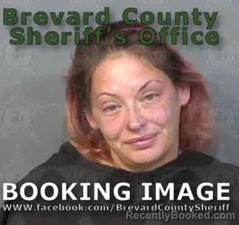 Mugshot of AMANDA LYNN BEILAND