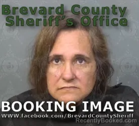 Mugshot of CAROLYN RAGOZINO