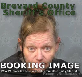 Mugshot of ANGEL MICHELLE HESS