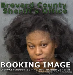 Mugshot of CHANDREONNA MCKELTON