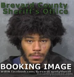 Mugshot of ISHMAEL VERAS