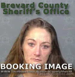 Booking photo from Brevard County, Florida
