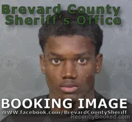 Booking photo from Brevard County, Florida