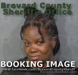 Booking photo from Brevard County, Florida