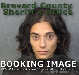 Booking photo from Brevard County, Florida
