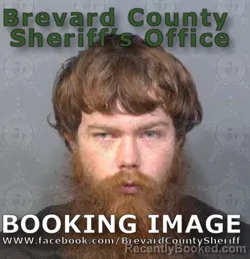 Mugshot of DAVID MATTHEW MCGINNESS