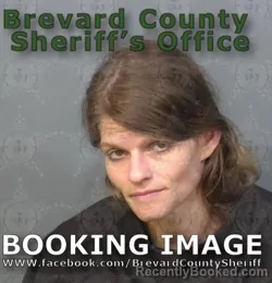 Mugshot of NICOLE LEE COLLINS