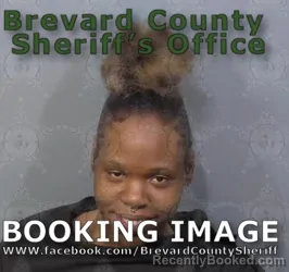 Booking photo from Brevard County, Florida