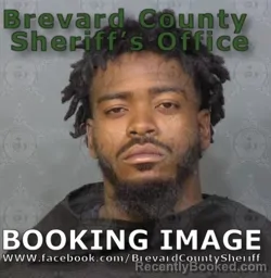 Mugshot of LEON ANTHONY ROBINSON