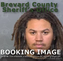 Mugshot of ALEXANDER DOMINO