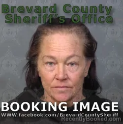Mugshot of DONNA MICHELLE CARLISLE