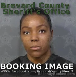 Mugshot of BRITTANY DELEAN ZEIGLER