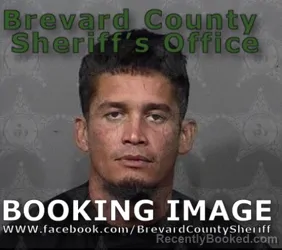 Booking photo from Brevard County, Florida