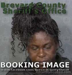 Booking photo from Brevard County, Florida
