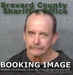 Mugshot of DAVID ALLEN HARVEY