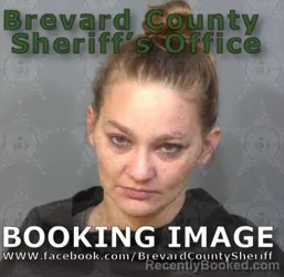 Mugshot of Amber Lynn Baldwin