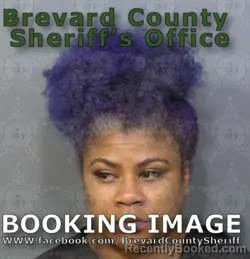 Booking photo from Brevard County, Florida
