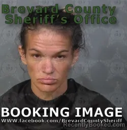 Mugshot of Tracy Elizabeth Goodwin