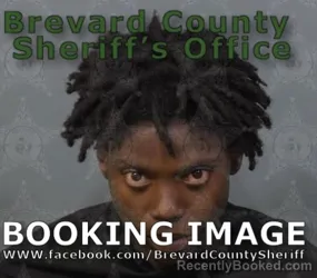 Mugshot of KaNeika Andrea Chambers