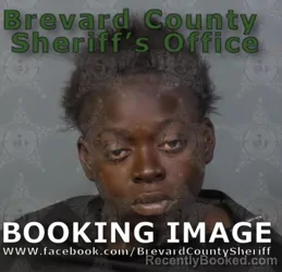 Mugshot of Dealizevia Sade Jordan